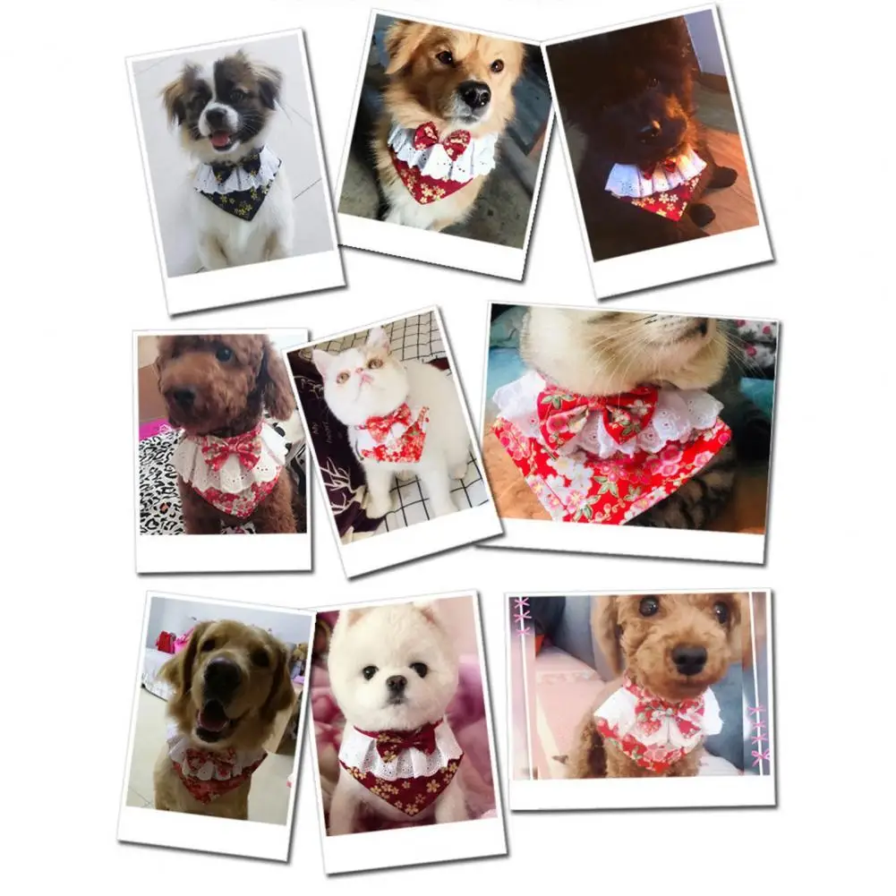 

Яркий Цветной тканевый декоративный шейный платок для слюны домашних питомцев для фотосъемки