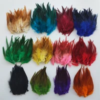 50 pcslot chicken feathers 4 6 inch 10 15cm pheasant feather diy chicken feather jewelry plume decoration plumes