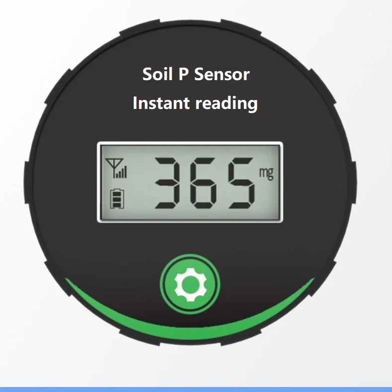 

RD-SPS-06 Portable handheld phosphorus Instant reading LCD screen display Soil NPK sensor for the agriculture