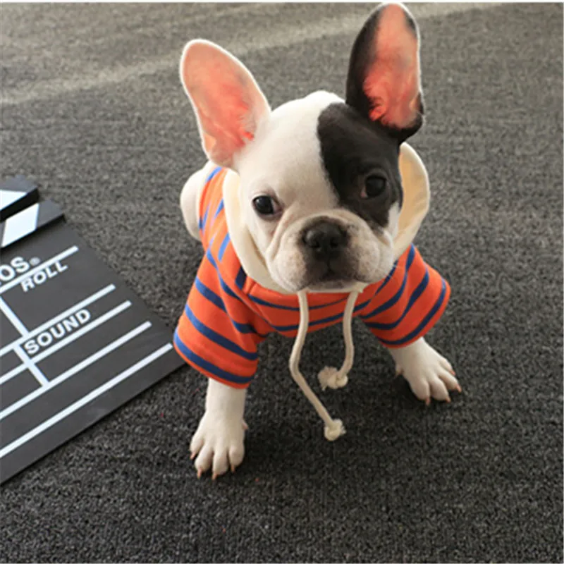 

Dog Hoodies Sweatshirt Coat Winter Dog Clothes Puppy Clothing Apparel Cat Chihuahua Yorkie Poodle Schnauzer Pug Costume Outfit 1