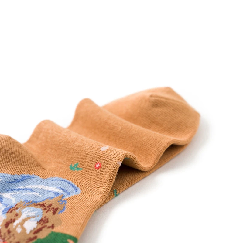 Парные женские хлопчатобумажные носки с мультипликационным принтом маслом