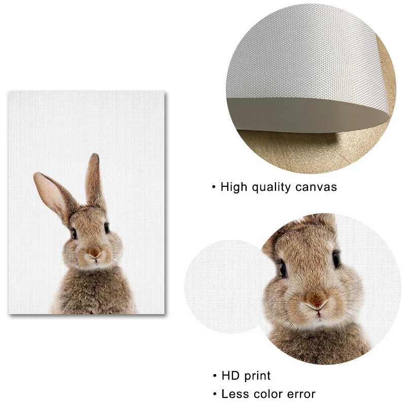 Без рамки принт с кроликом плакат детеныши животных холсты для рисования печать
