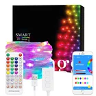 СВЕТОДИОДНАЯ Гирлянда WS2812B SK6812 индивидуально Адресуемая RGB IC Dream Color Рождественское украшение светодиодный модуль USB контроллер 5 в постоянного тока
