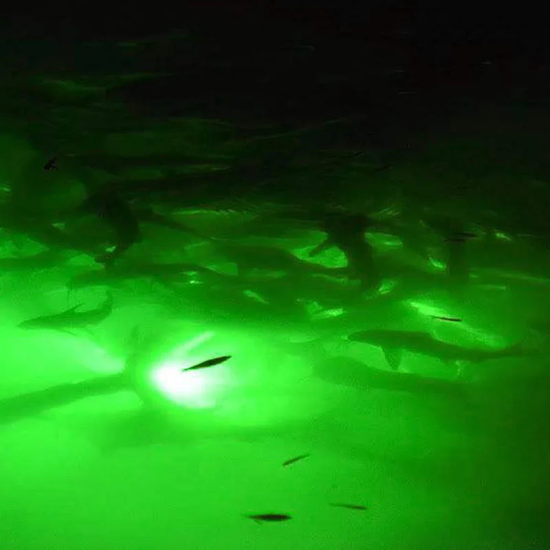 12V Fishing Attracts Lights LED Underwater Light Fish Lures Finder Lamp Prawns Squid Krill 180pcs 2835 LEDs |
