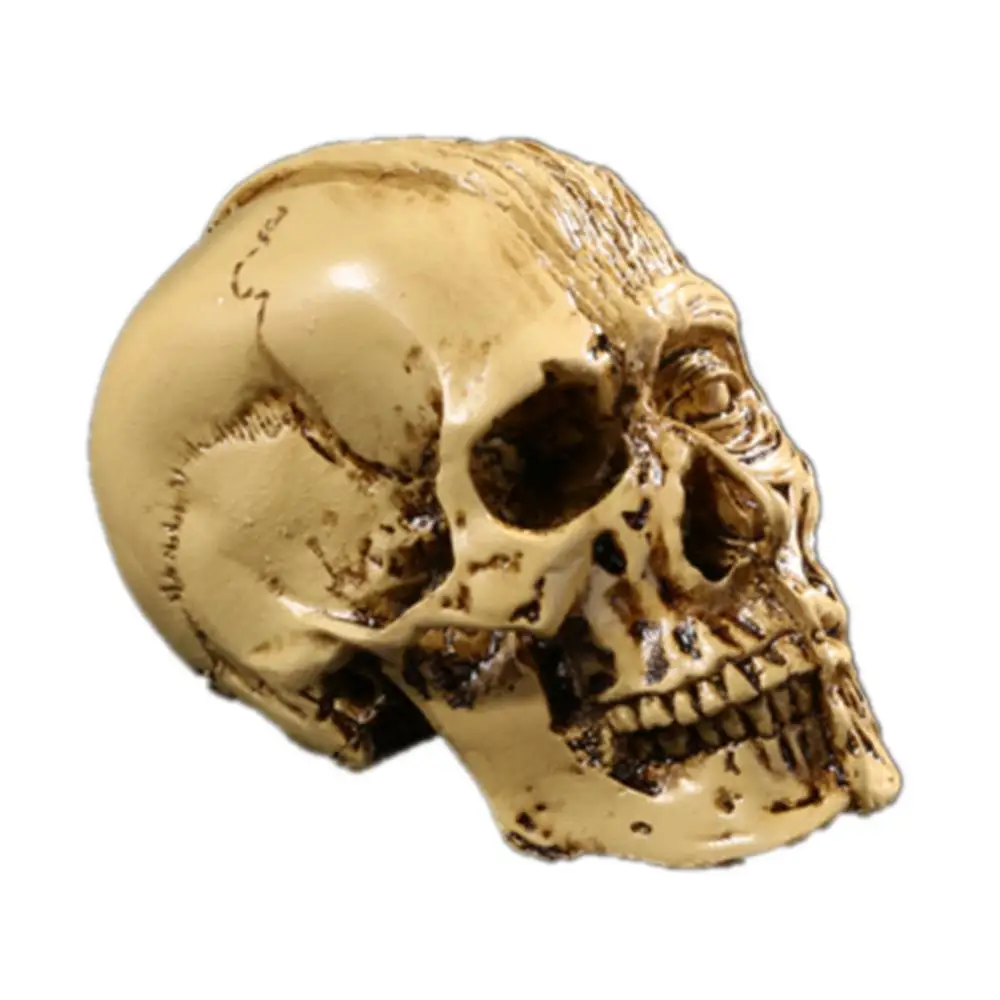 Искусственный череп из смолы модель искусственный Скелет человека декоративный