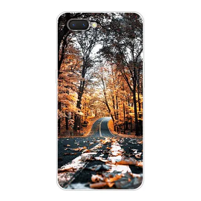 Чехол для Oppo A3S, чехол для Oppo A3S, мягкий мультяшный ТПУ силиконовый чехол для телефона, для Oppo A5 OPPOA5, чехол Realme C1 OPPOA3s, чехол, Fundas - Цвет: Синий
