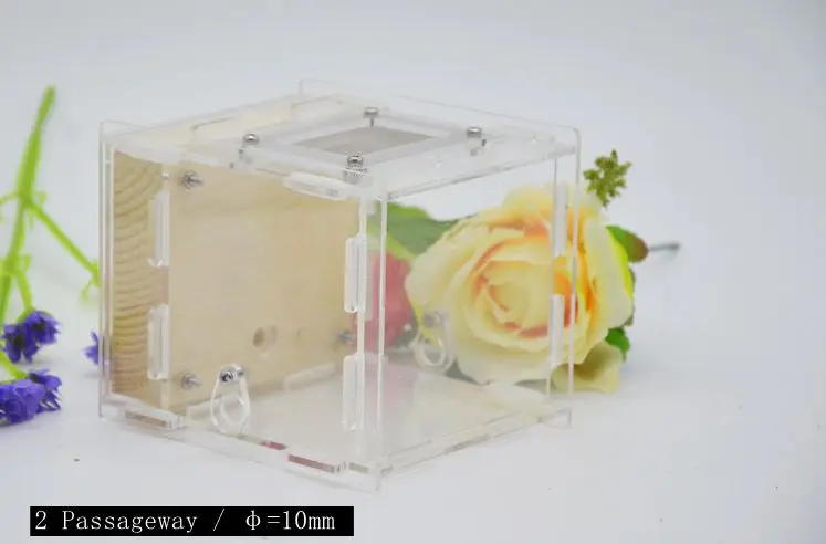 Деревянная муравьиная ферма Муравьиное Гнездо дом для живых муравьев с зоной