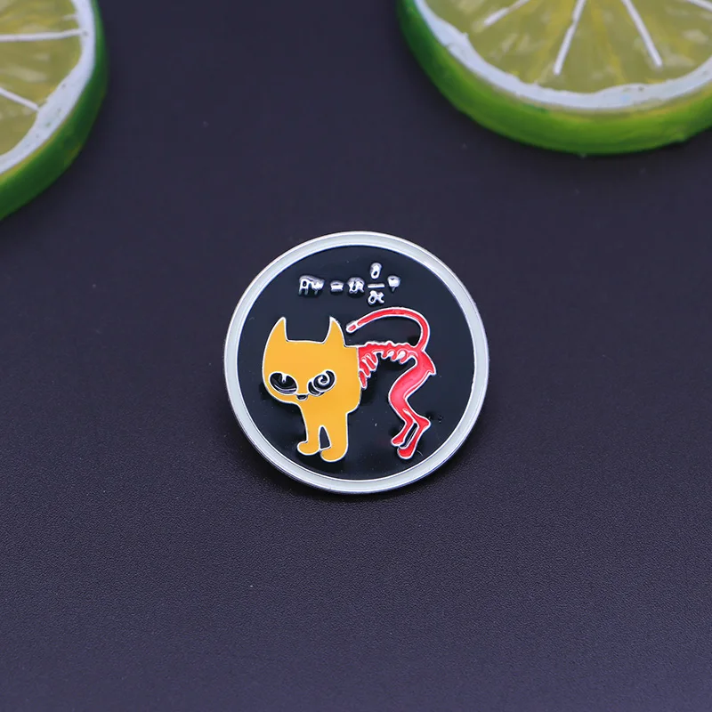 Физика формулы Броши Шредингер кошка Эмаль Булавка для детей отворот булавка