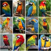 diy 5d diamond painting full square drill parrot sticker mosaic cross stitch animal embroidery bird home decor wall art gift