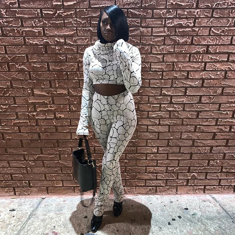 

Autumn Winter Women Sport Fitness Two Piece Set Outfits Long Sleeve Crop Tops Short T-shirt Leggings Pants Set Bodycon Tracksuit