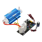 CE FCC ROHS Pinus longaeva, регулируемый озоновый генератор 3 г, домашний Многофункциональный озонатор, Медицинская Дезинфекция