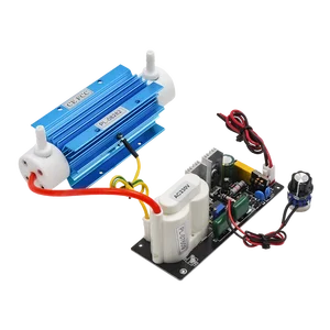 CE FCC ROHS Pinus longaeva, регулируемый озоновый генератор 3 г, домашний Многофункциональный озонатор, Медицинская Дезинфекция