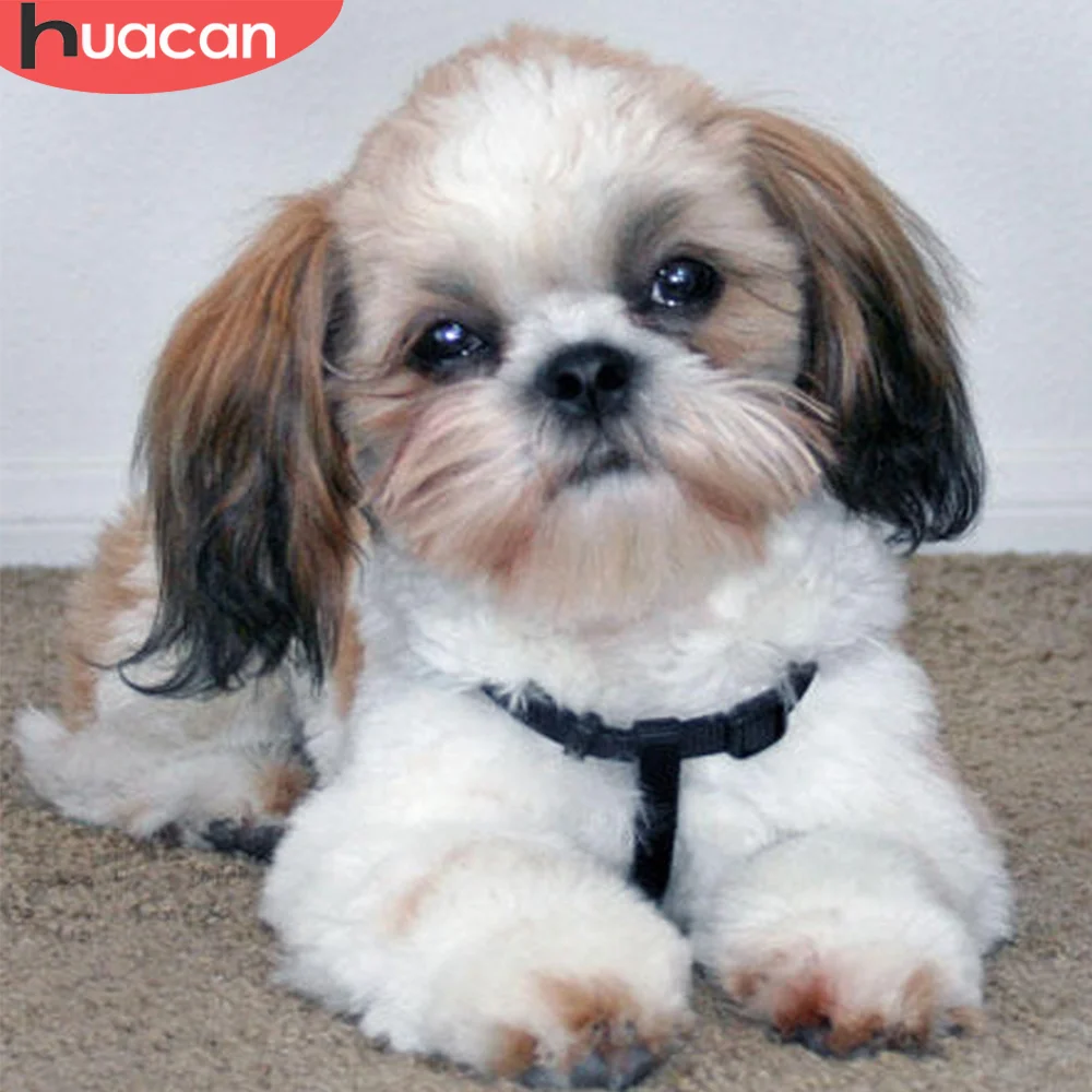 

HUACAN 5D алмазная картина собака полный квадрат/Круглый Алмаз искусство Вышивка животное ручная работа мозаика украшение дома