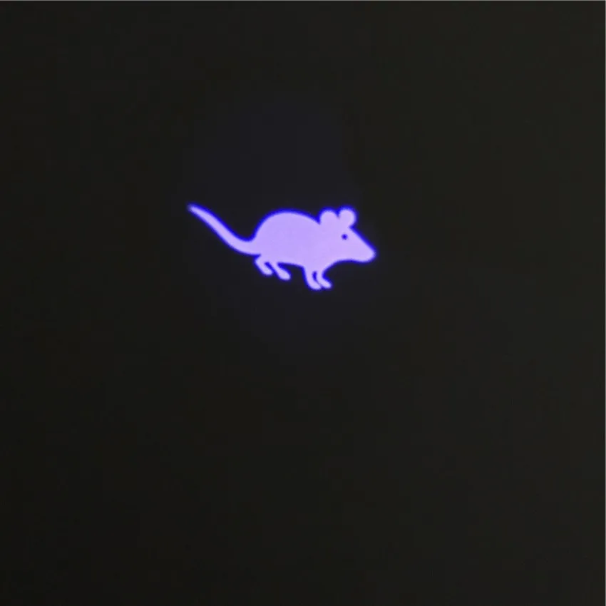 

Funny Pet LED Laser Toy Cat Laser Toy Cat Pointer Light Pen Interactive Toy With Bright Animation Mouse Shadow Small Animal Toys