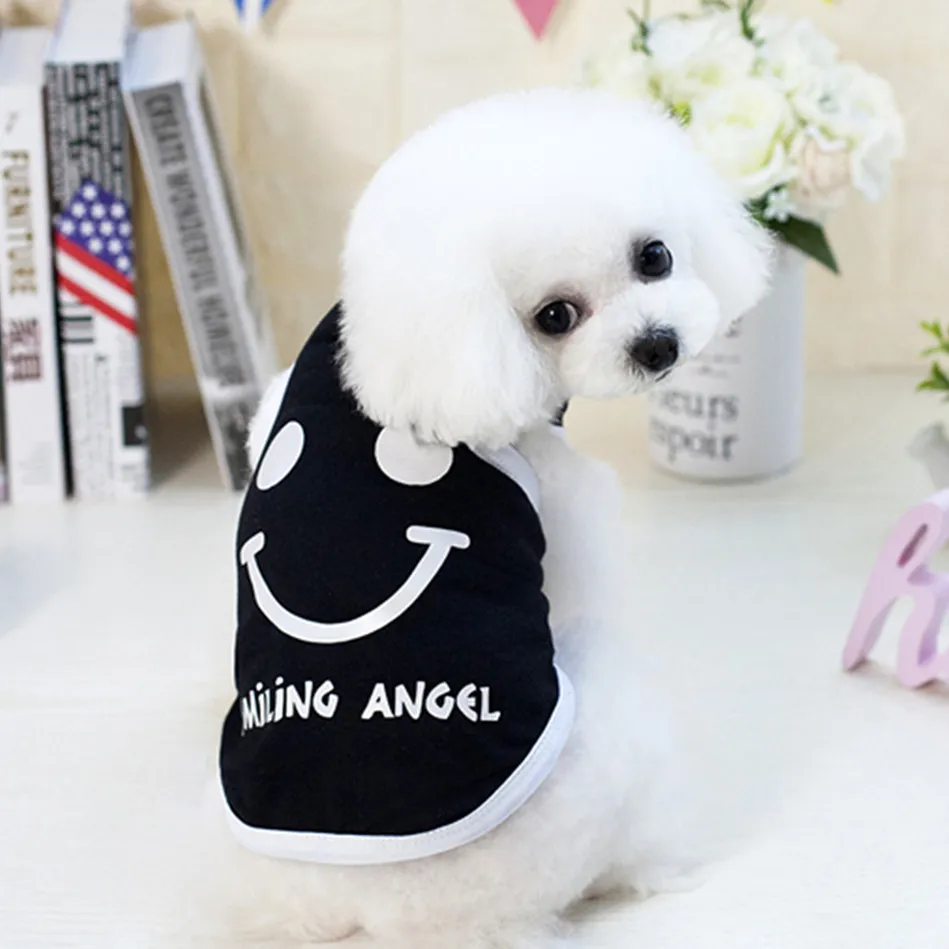 Новый крутой жилет с улыбкой Мишка Тедди Чихуахуа в Европе и Америке | Дом сад