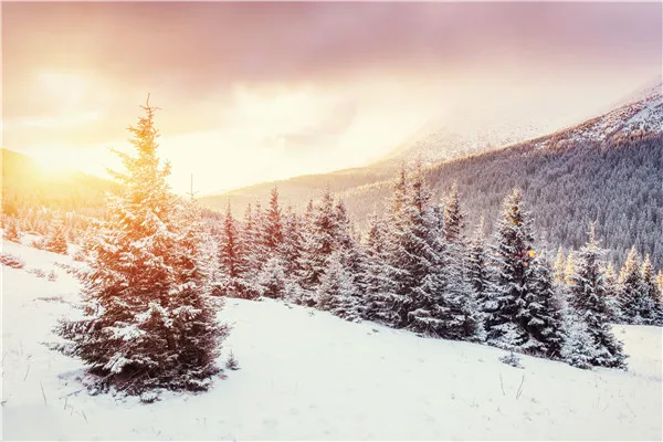 

SHENGYONGBAO Vinyl Custom Photography Backdrops Props Photo Studio Waterfall theme Background 20228-39