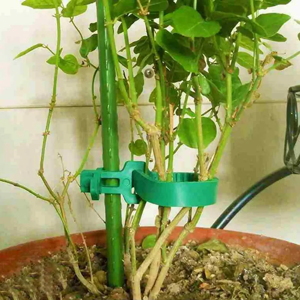 Plastic 10Pcs Durable Climbing Plants Tree Ties Portable Fixing Buckle Labor-saving for Shrubs | Дом и сад