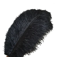 10pcslot black ostrich feathers for crafts 15 70cm6 28 ostrich feather decoration wedding feather decoration plumas carnaval
