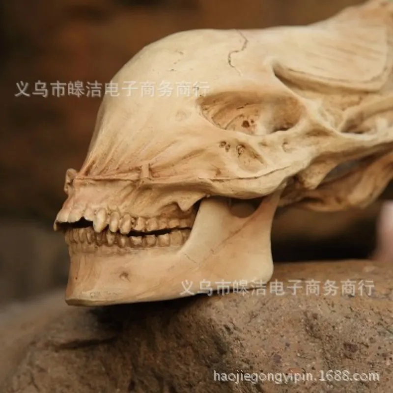 

70cm AVP Predator VS Alien Skull Model Resin Crafts Halloween Decoration Model Resin Fossil Statue Alien Skull Skeleton Figure