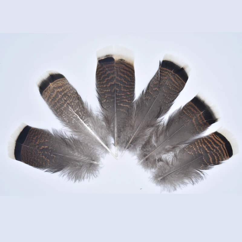 

100 шт./лот перья фазана перышки орла 10-15 см/4-6 дюймов турецкие перья для рукоделия карнавал Assesoires Перья Декор