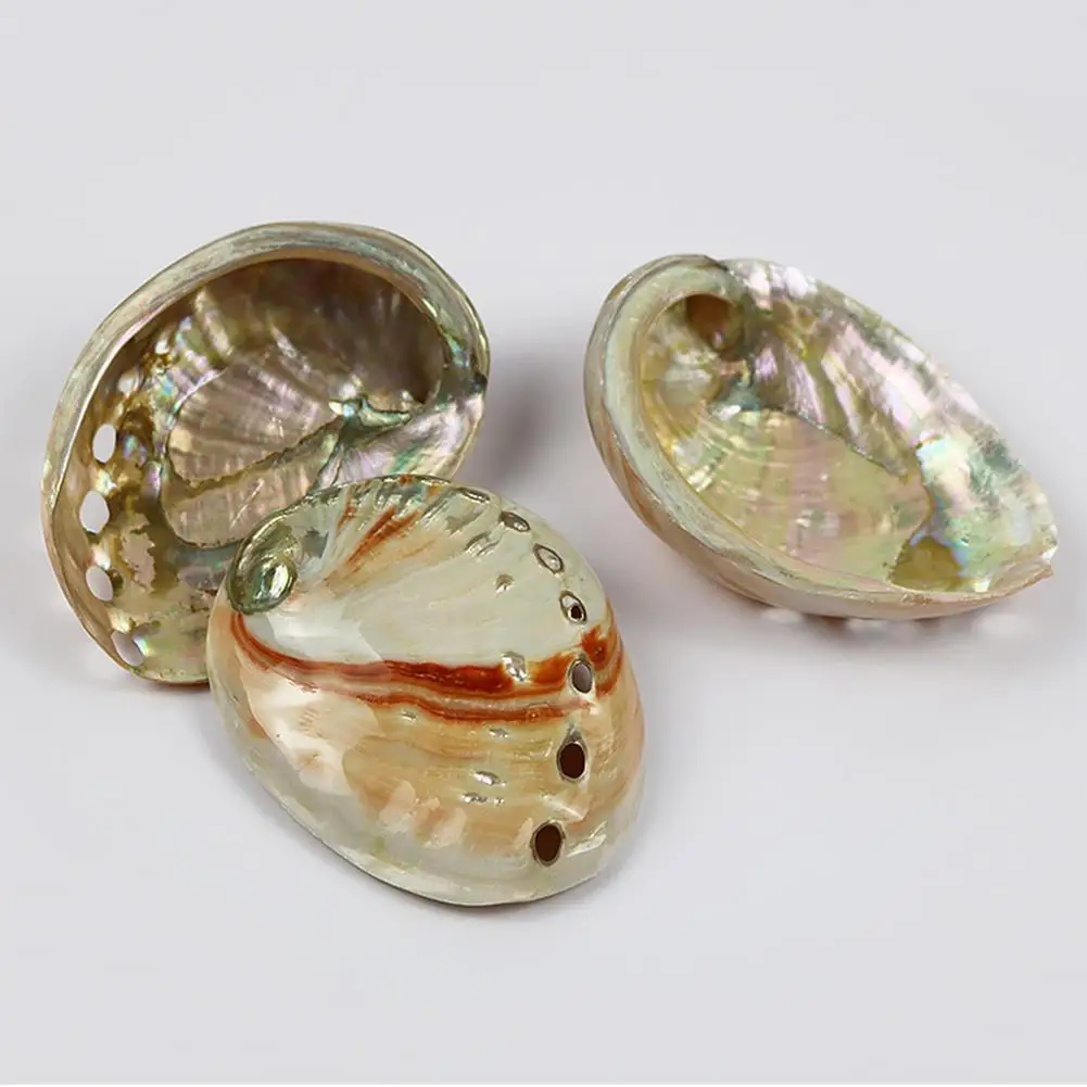 Натуральная сафлоровая Морская раковина аквариум ландшафтное украшение для