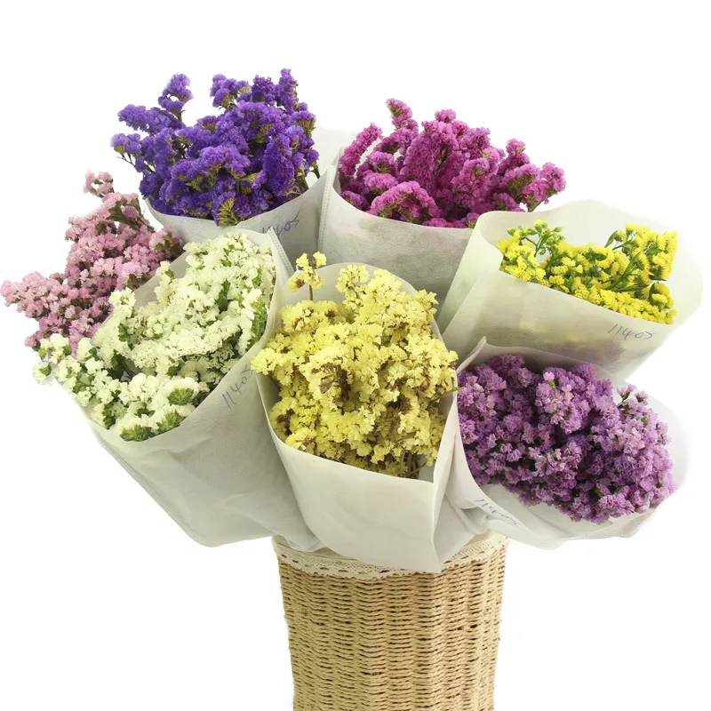 10 шт. консервированные свежего сушенного забывчивых цветами филиалом украшение