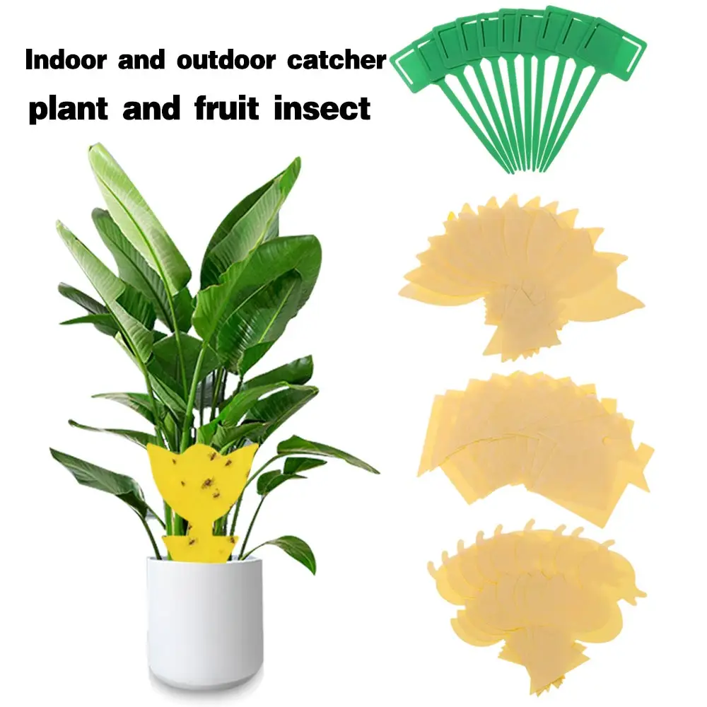 Ловушка для фруктов и мух липкий желтой гриб ловушка комнатных уличных растений