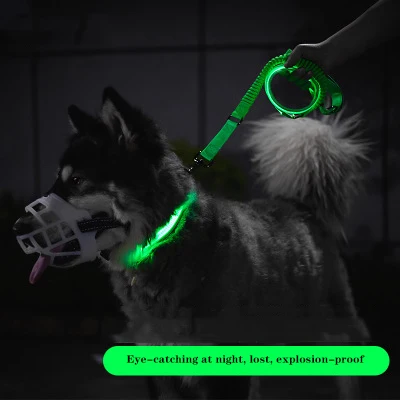 

USB Charging Led Dog Collar Anti-Lost/Avoid Car Accident Collar For Dogs Puppies Dog Collars Leads LED Supplies Pet Products
