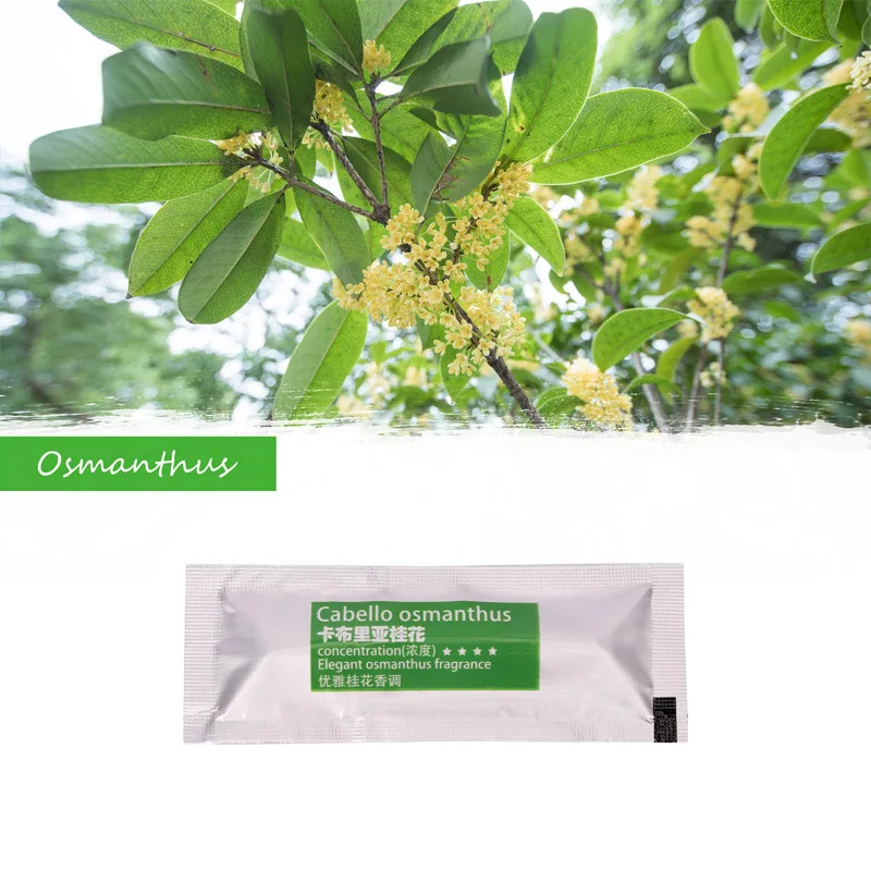 5 Osmanthus Освежитель воздуха для автомобиля, ароматизатор для автомобиля, ароматизатор для автомобиля, аксессуары для стайлинга автомобиля, освежитель воздуха - Название цвета: 5 Osmanthus