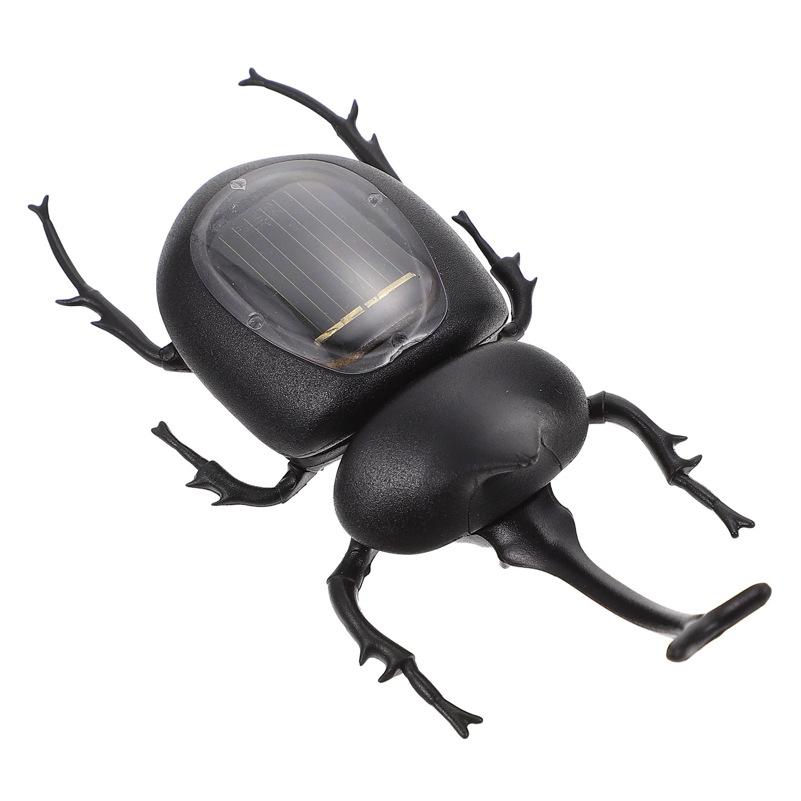 

1pc Funny Solar-powered Educational Kid Funny Insect Recognizing