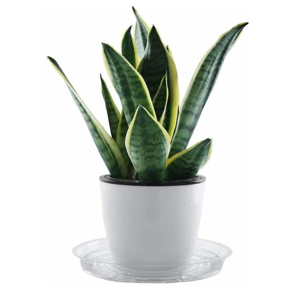 

Plastic Plant Pot Trays Saucers Garden Flower Pot Mat Plant Saucer Drip Tray Round Pot Indoor Outdoor Plant Drip Trays
