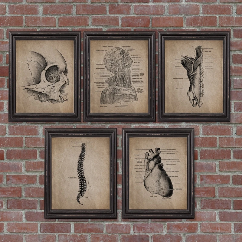 Домашний декор настенная живопись скандинавский человеческий анатомический