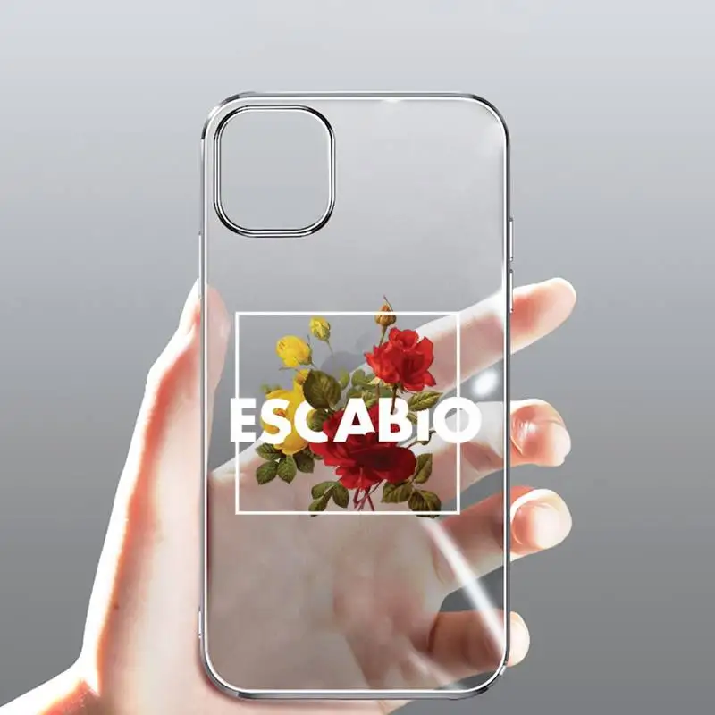 

Flower text art Phone Case Transparent for Clear iPhone case 11 12 mini pro XS MAX 8 7 6 6S Plus X 5S SE 2020 XR