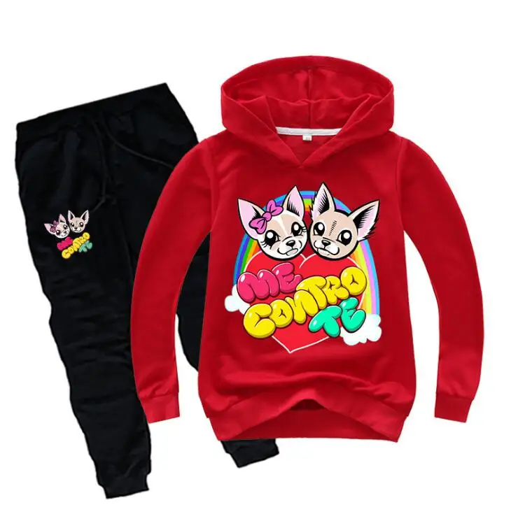 Детский спортивный костюм из двух предметов толстовка с капюшоном и штаны |