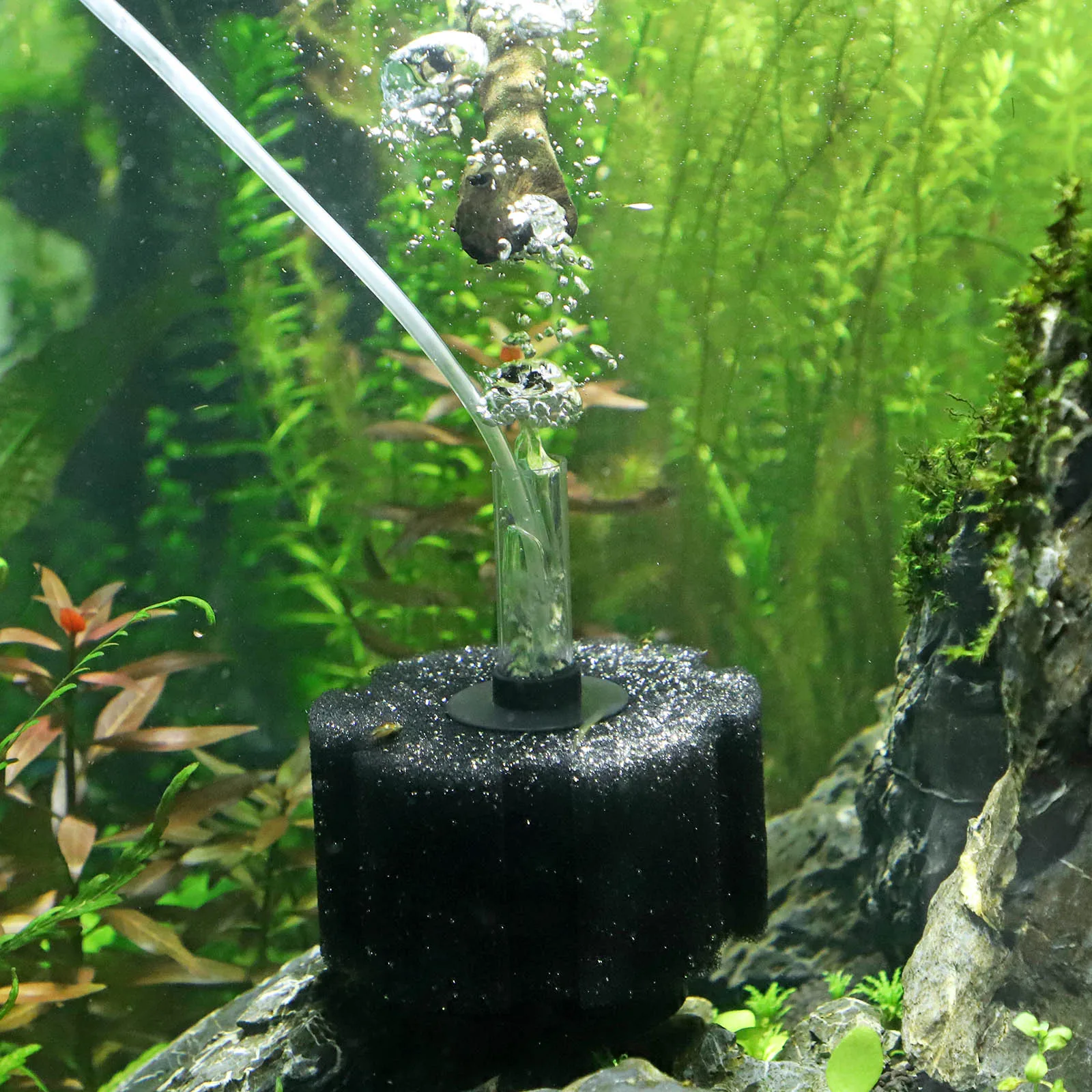 Аквариумный фильтр для аквариума воздушный скиммер с насосом Биохимический