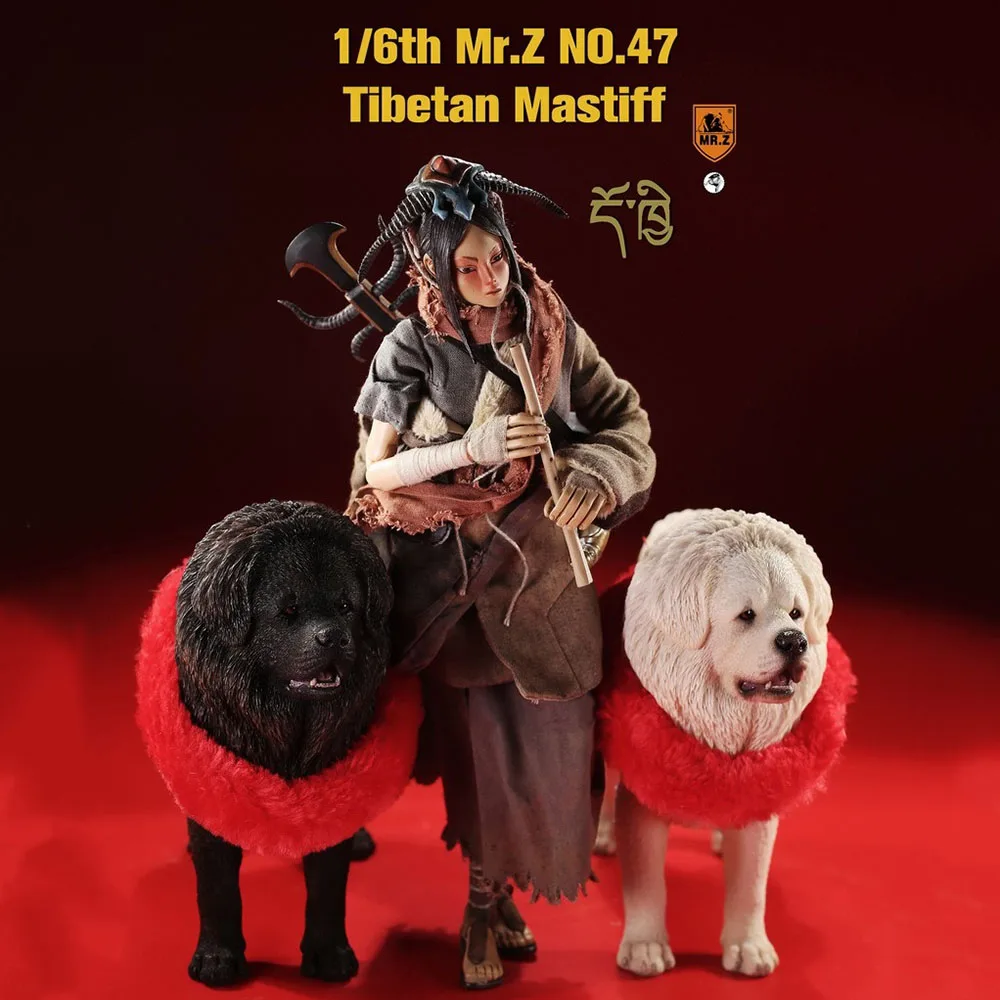 

In Stock Collectible 1/6 Scale Mr.Z MRZ047 Tibetan Mastiff Hound Cute Pet Animal Figure for 12'' Action Figure Model