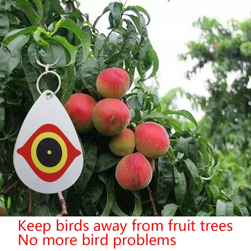 

5Pcs/Set Bird Repellent Diverter Discs Scarer Eye Scare Birds Away Pest Deterrent