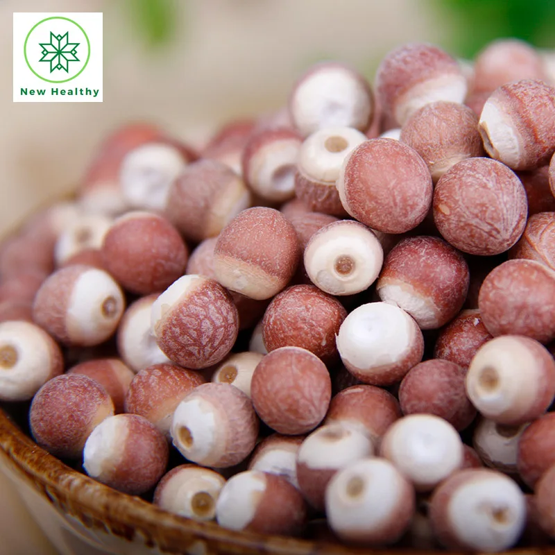 

Qian Shi Gorgon fruit Gordon Euryale Semen Euryales