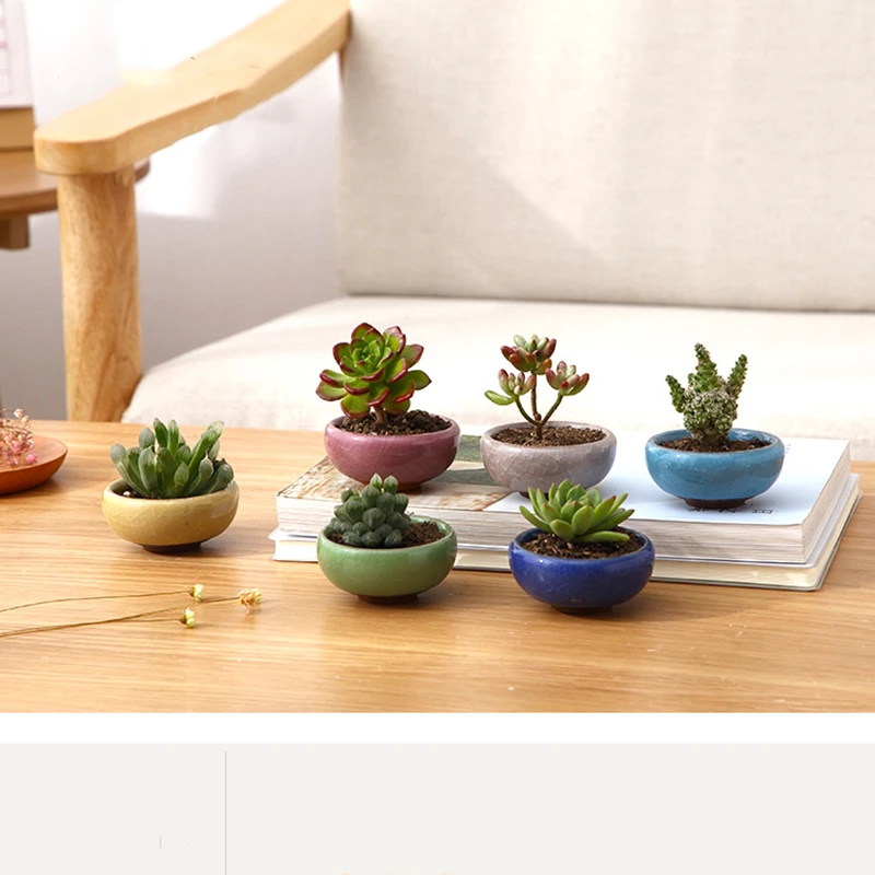 

Mini Cute Desktop Ice-Crack Glaze Flower Pot Ceramic Succulent Plant Planter Flowerpot Household Office Decoration