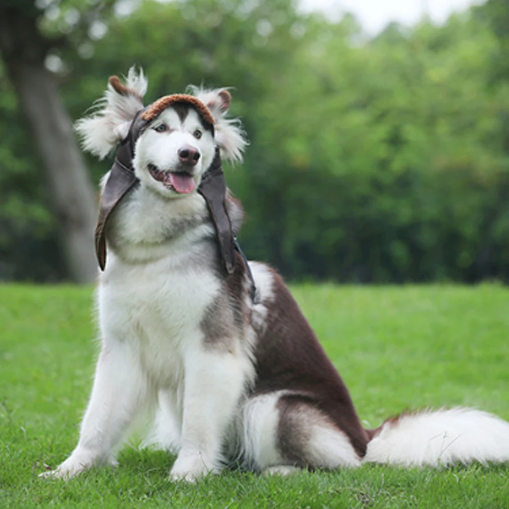 Домашнее животное чихуахуа шлем летчика для собак ветрозащитная шляпа авиатора