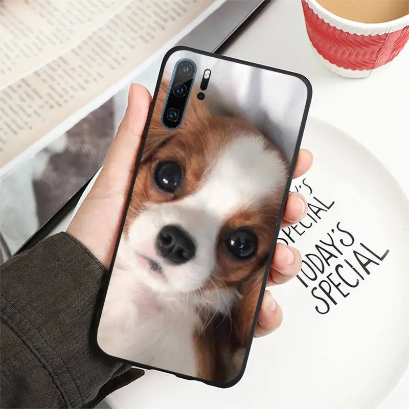 

Cavalier King Charles Spaniel Dog Phone Case For Huawei honor Mate P 10 20 30 40 i 9 8 pro x Lite smart 2019 nova 5t