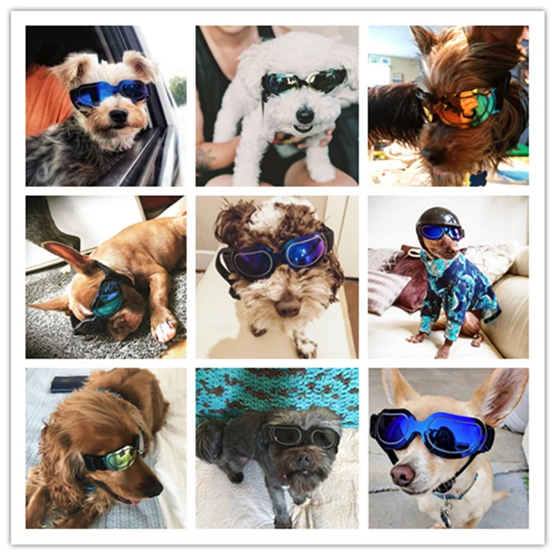 

New Arrival Lovely Cat Eye Sunglasses Pet Sunglasses Colorful Glasses For Dog UV Protection Dog Goggles Blue Sunglasses Dog