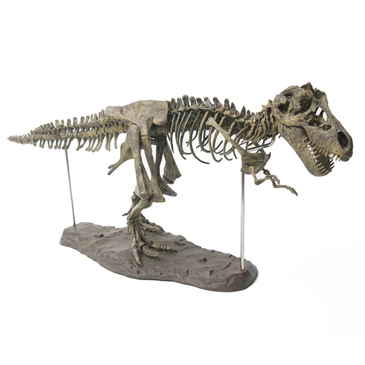 

70cm Dinosaur 4D Assembled Bone Blast Dragon Children's Toy Tyrannosaurus Fossil Skeleton Simulation Animal Teaching Model Decor