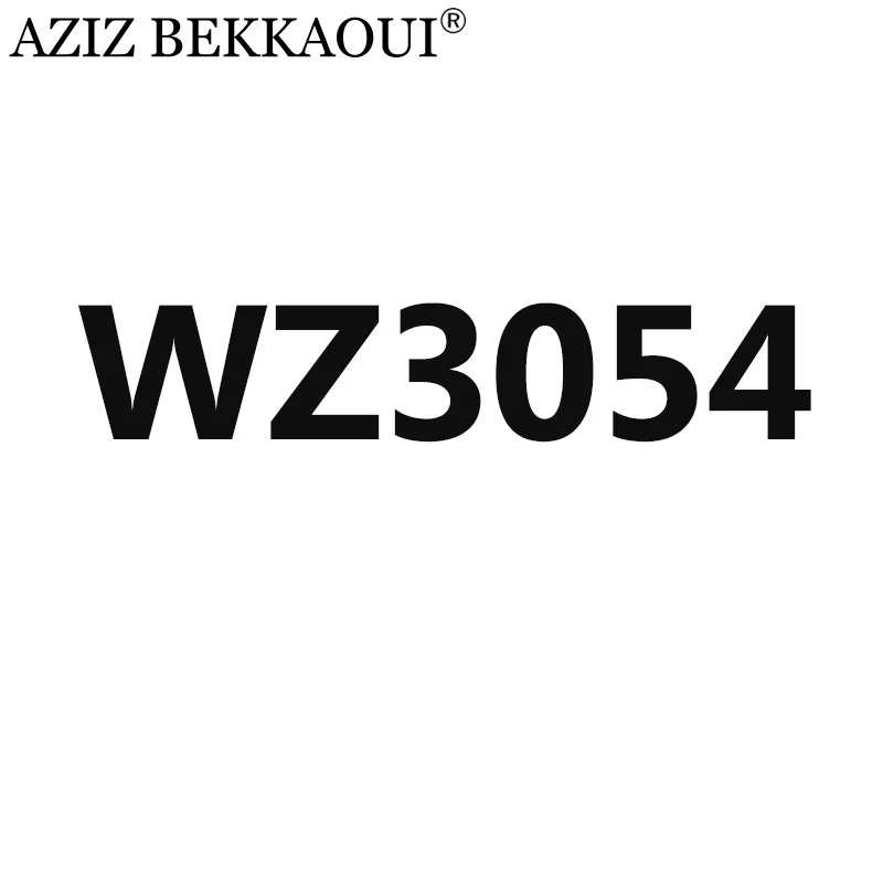 WZ3054 Азиз BEKKAOUI дропшиппинг пара DIY обслуживание индивидуальный логотип специальный подарок для влюбленных подарок на день Святого Валентина WZ3053-3055 - Окраска металла: WZ3054
