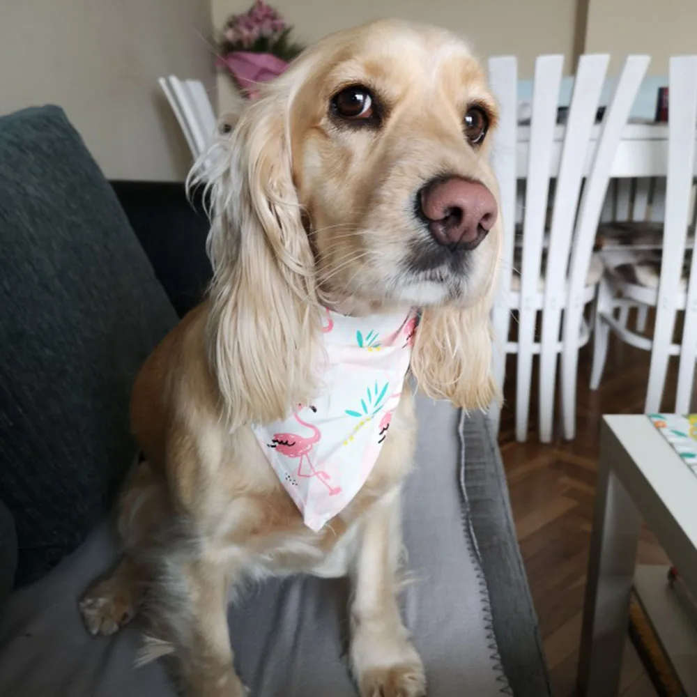 Популярная летняя бандана для собак с принтом шарф кошек и хлопковый