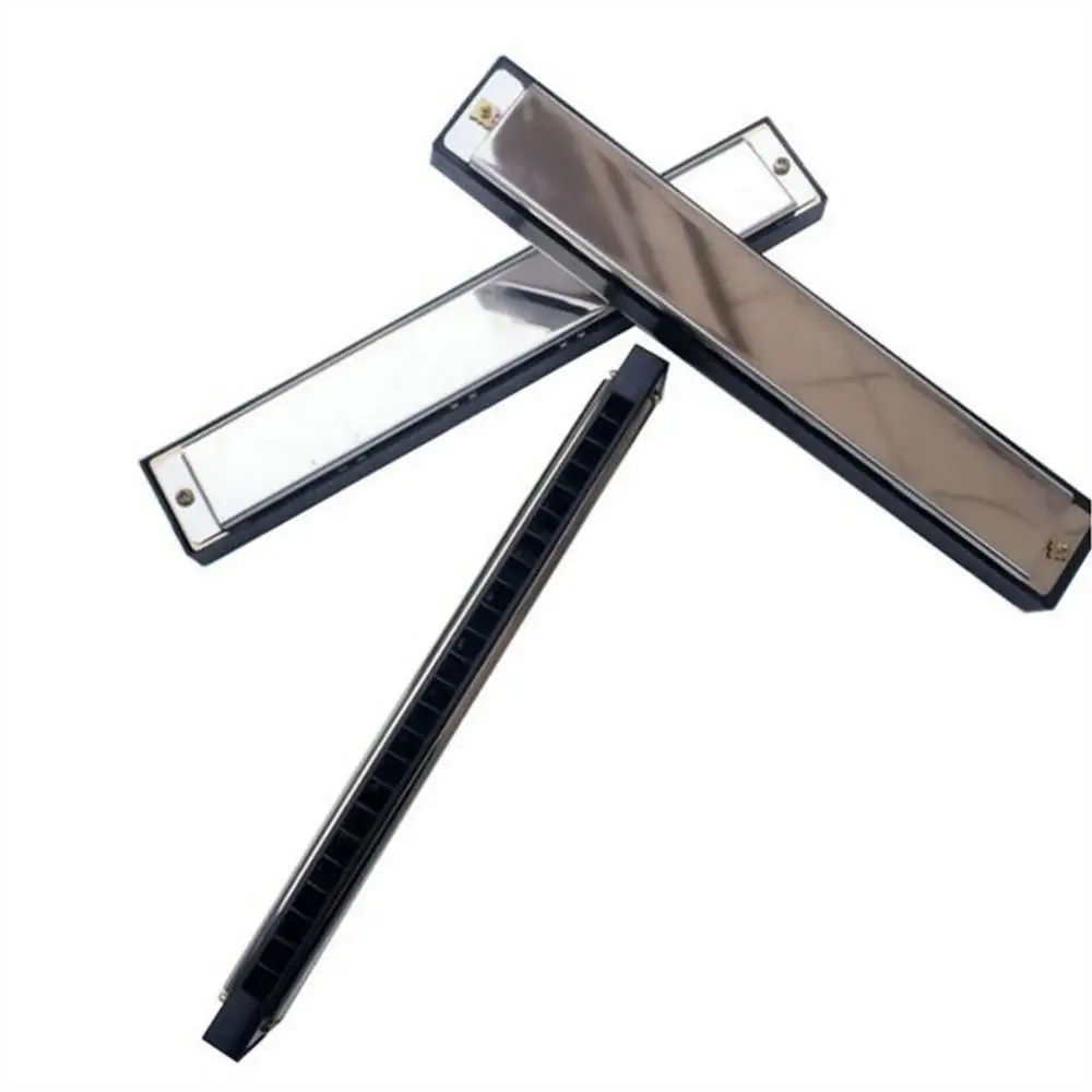 Диатоническая гармоника с 24 отверстиями Серебряный блюз диатоническая