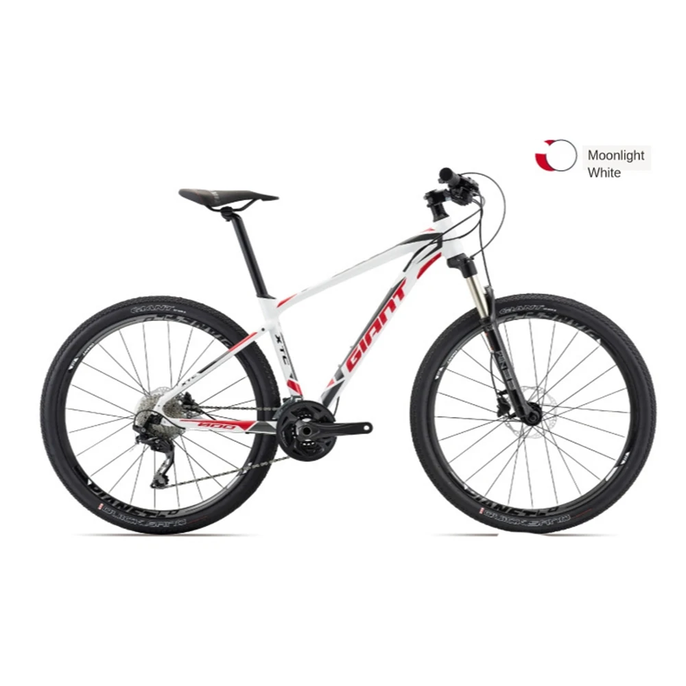 

Mountain Bicycle