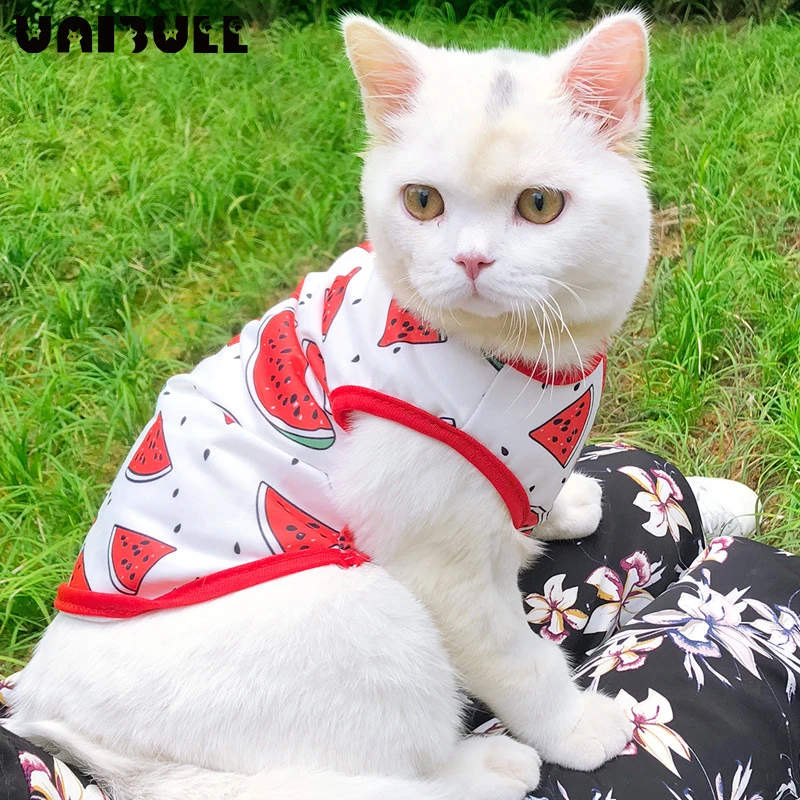 

UNIBULL Clothes kitten British Short Blue Cat Summer Thin Anti-hair Loss Teddy Small Dog Pet Summer Vest Clothes for Small Dogs