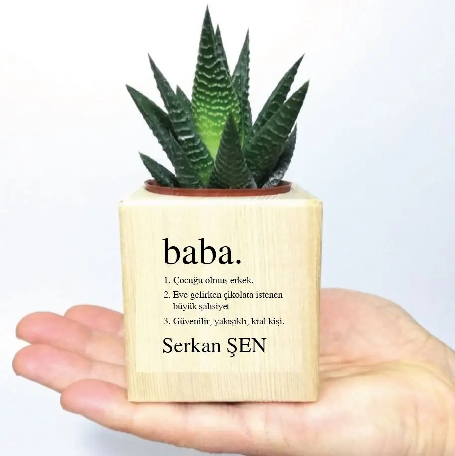 

Personalized Dad Dictionary Meaning Wood Cube Flower Pot-13