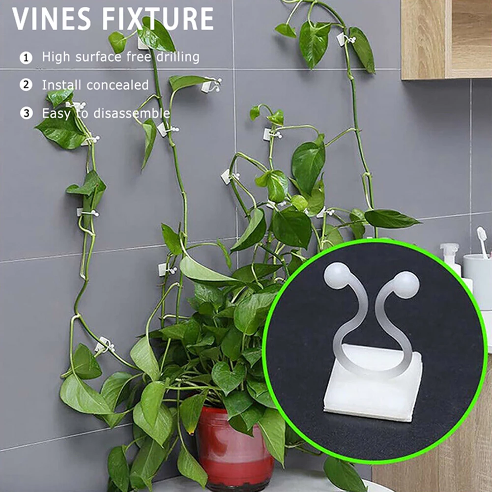 

100PCS Invisible Plant Climbing Wall Sticky Hook Vines Fixing Clips Fixture Plant Cages Supports 100*Wall Vines Fixtures